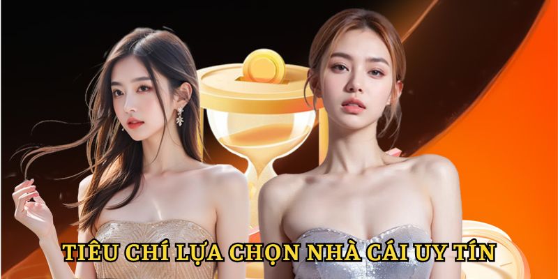 Các tiêu chí lựa chọn