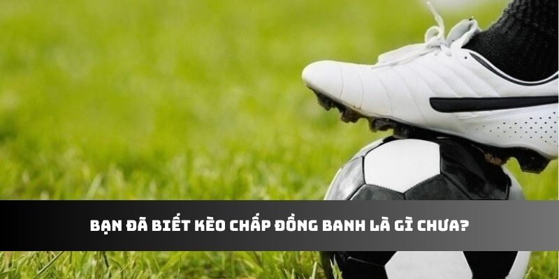 Bạn đã biết kèo chấp đồng banh là gì chưa?